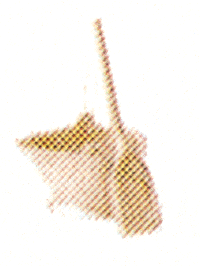 Coal Pail w/Ash Shovel