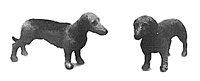 Dachshunds