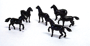 Farm Animals - Horses -- Black
