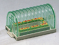 Greenhouse