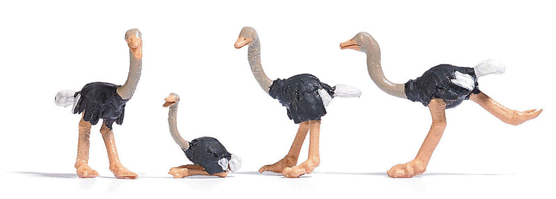 Ostriches -- pkg(4)