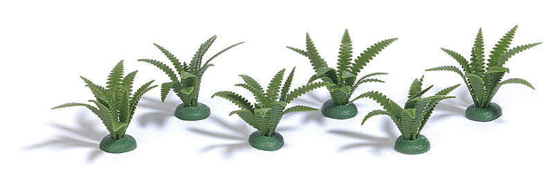 Ferns - Assembled -- pkg(6)
