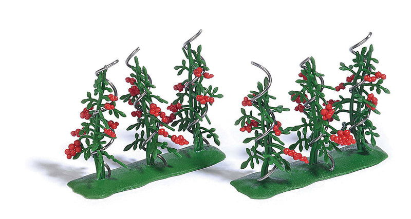 Tomato Plants - Assembled -- pkg(6)