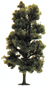 Deciduous Trees -- Beech 3-5/8" 9cm Tall
