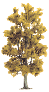 Deciduous Trees -- Birch 7-3/16" 18cm Tall