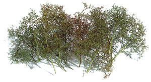 Natural Armature Tree & Bush Kit -- Enough Material for 15 to 30 Trees/Bushes-1