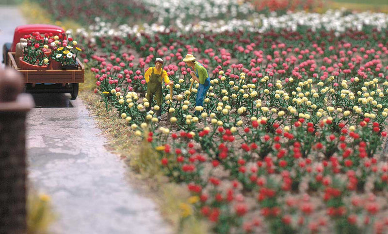 Roses - Kit -- pkg(60)