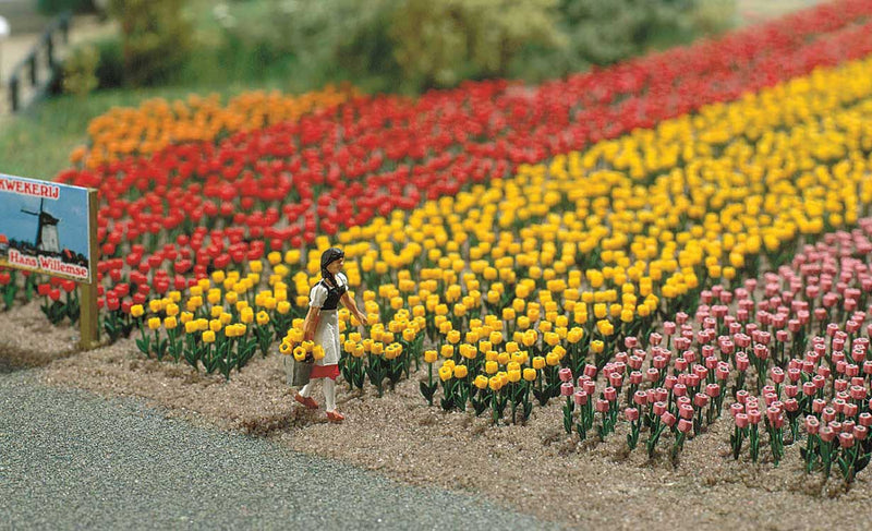 Tulips -- Kit pkg(60)