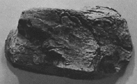 Rock Mold -- 4-1/4 x 2-1/2"