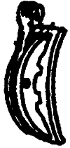 Brake Shoes