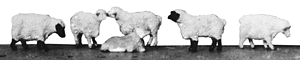 Sheep -- Painted