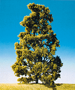 Elm Tree -- Large 7-3/16"
