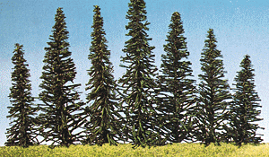 Trees -- Assorted Fir