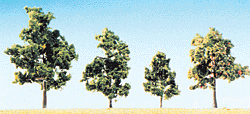 Fruit Trees Assorted -- Approximately 6 - 11 cm