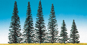 Colorado Spruces