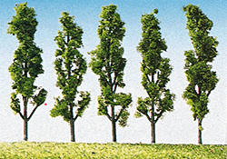 Poplar Trees -- Small 2-1/2"