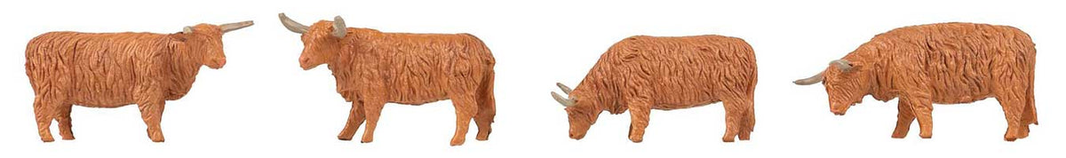 Highland Cattle -- Red pkg(4)