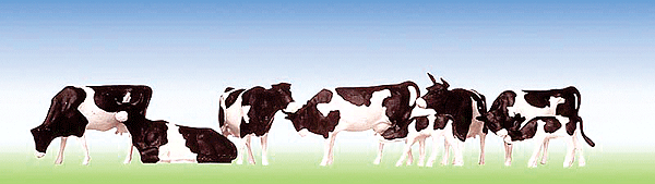 Animals -- Black Spotted Cows
