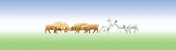 Animals -- 8 Goats & 7 Pigs