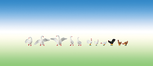 Animals -- Hens & Geese pkg(11)