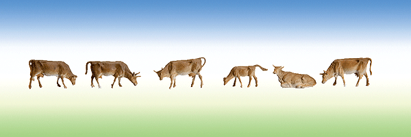 Animals -- Mountain Cattle pkg(6)