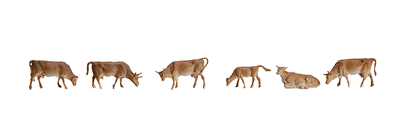 Animals -- Mountain Cows pkg(6)