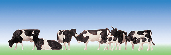 Animals -- Cattle pkg(6)