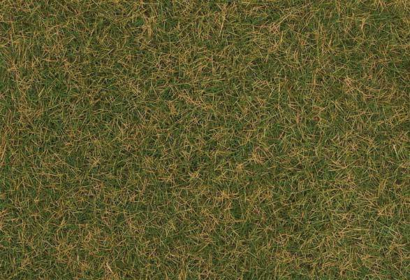 Static Wild Grass 3/16" 4mm Fibers 2.2lb 1kg -- Brownish Green-1