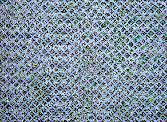 Embossed Panel Building Material Sheet -- Diamond Lattice with Grass