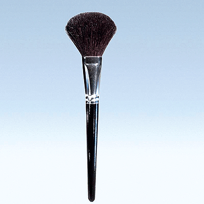 Model Makers Dust Brush