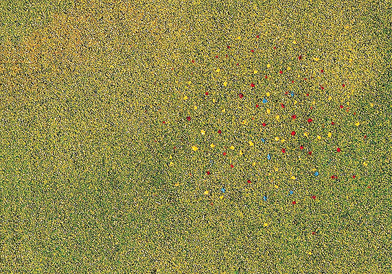 Grass -- Meadow Flowers w/Shaker Applicator