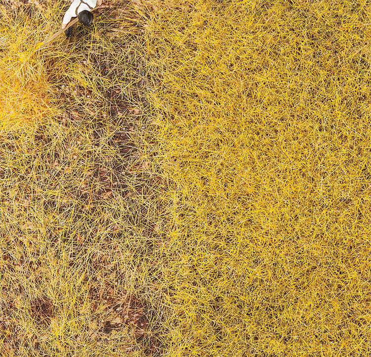 Ground Cover/Flocking - Premium -- Straw 1oz 30g