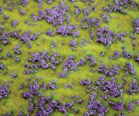 Ground Cover -- Flowering Meadow (violet)