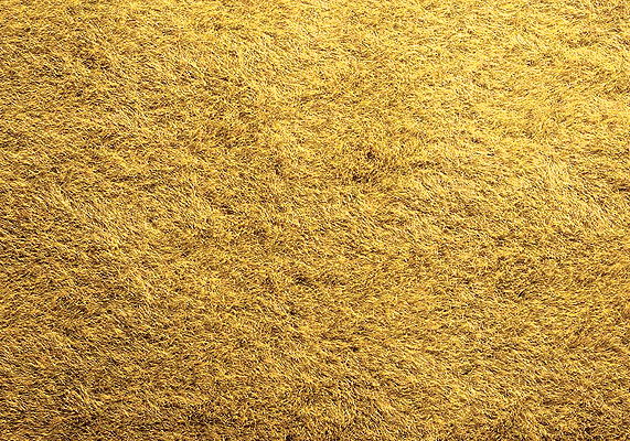 Mini Ground Mat -- Cornfield