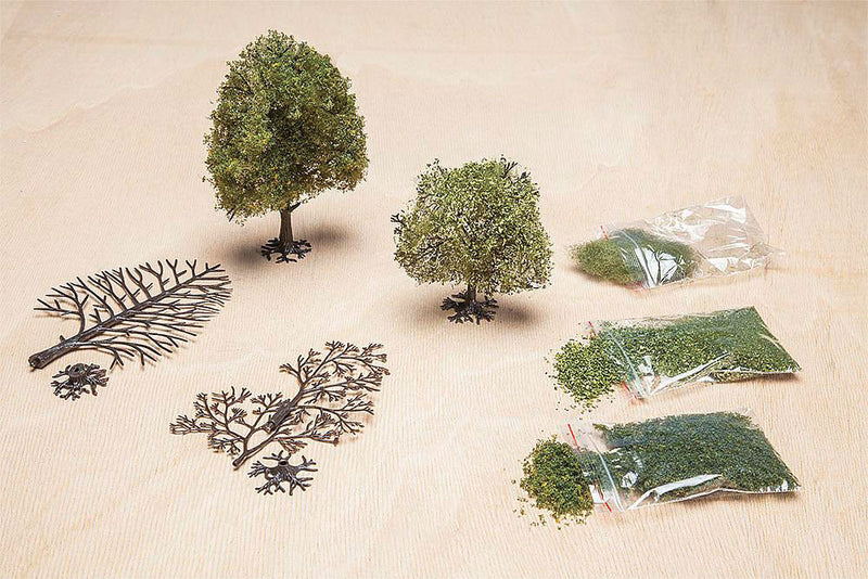 Do-It-Yourself Premium Plane Tree - Kit -- Early Summer