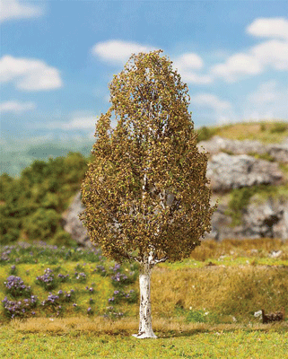 Birch Tree - Premium -- 5-11/16" 14.5cm