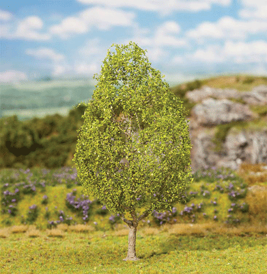 Elm Tree - Premium -- 5-1/2" 14cm