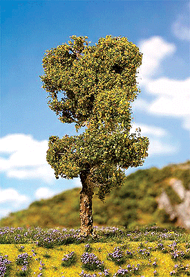 Premium Deciduous Tree -- Moor Birch 6-1/4" 16cm