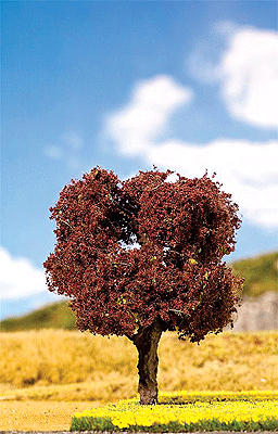 Premium Deciduous Tree -- Common Beech 4-5/16" 11cm