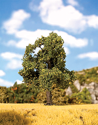 Premium Deciduous Tree -- Maple - 4-5/16" 11cm