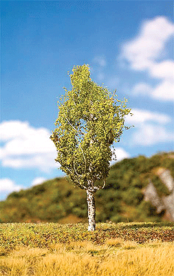 Premium Deciduous Tree -- White Birch - 5-1/8" 13cm