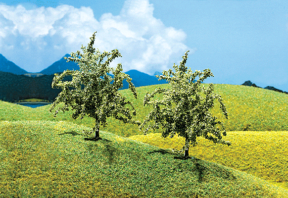 Cherry Tree -- 3-3/16" 8cm pkg(2)