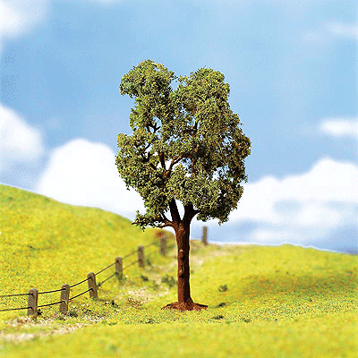 Premium Deciduous Trees -- Plain Maples pkg(2) 4" 10cm