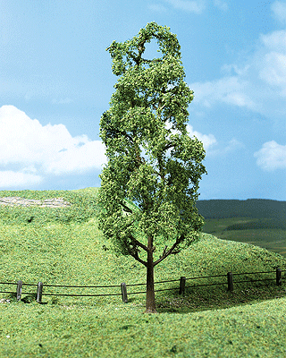 Premium Trees -- Trembling Poplars - 6-11/16" 17cm pkg(3)