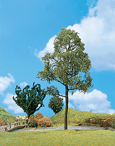 Premium Elm Tree -- 7-1/8" 18cm