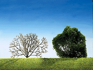 Bush Kit - For HO/N - Builds 15 Bushes