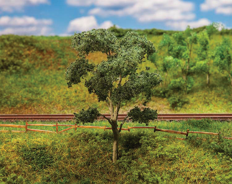 Maple Tree - Premium