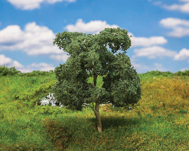 Linden Tree - Premium