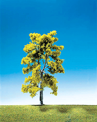 Birch Trees -- 6-3/4"