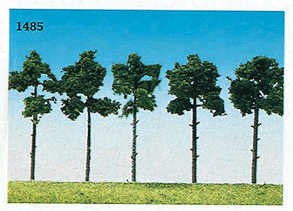 Pines -- 2-3/8"